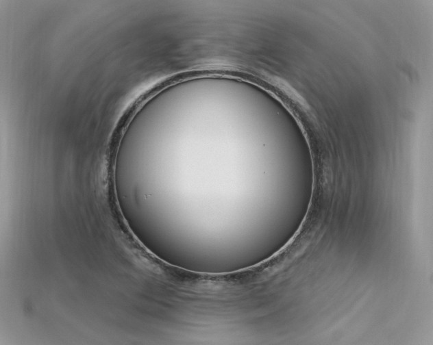 X0000115711364200911121416