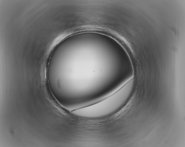 X0000115711365200911121416