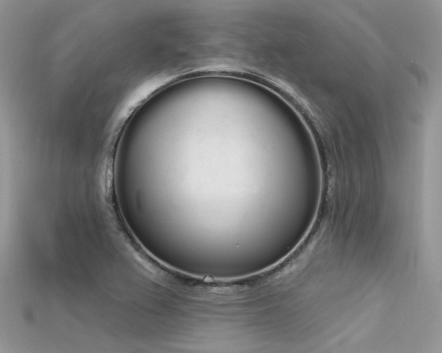 X0000115711367200911121416