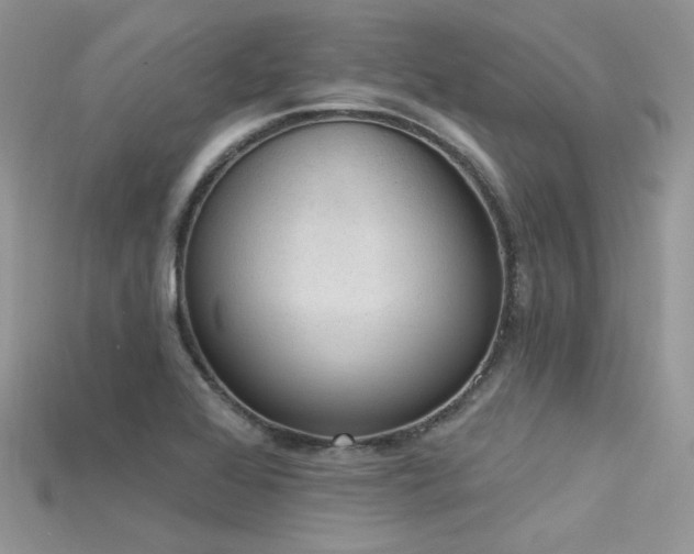 X0000115711368200911121416