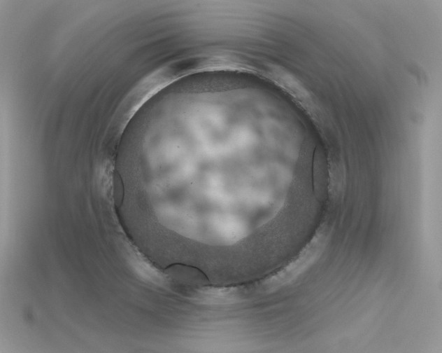 X0000115711369200911121416