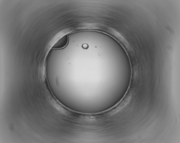 X0000115711370200911121416