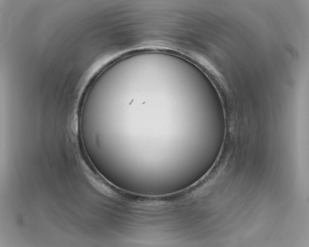 X0000115711372200911121416