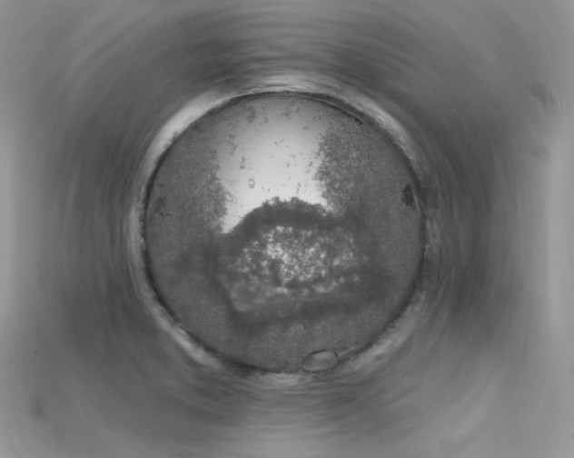 X0000115711373200911121416