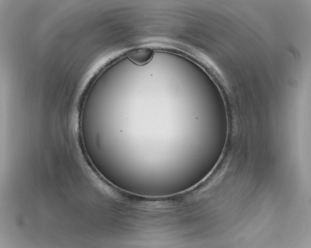 X0000115711376200911121416