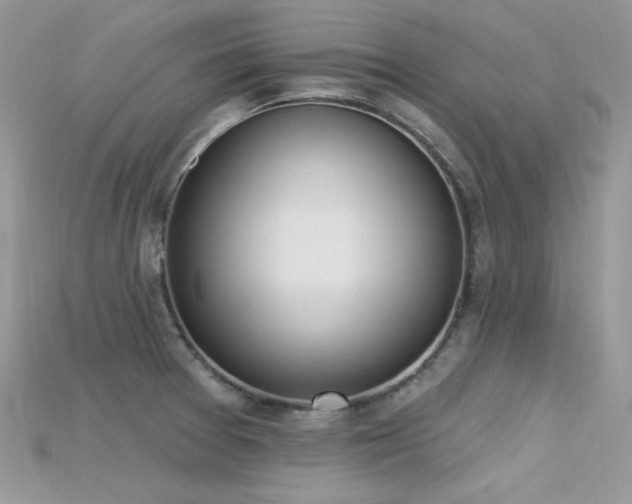 X0000115711377200911121416