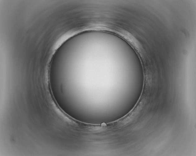 X0000115711382200911121416