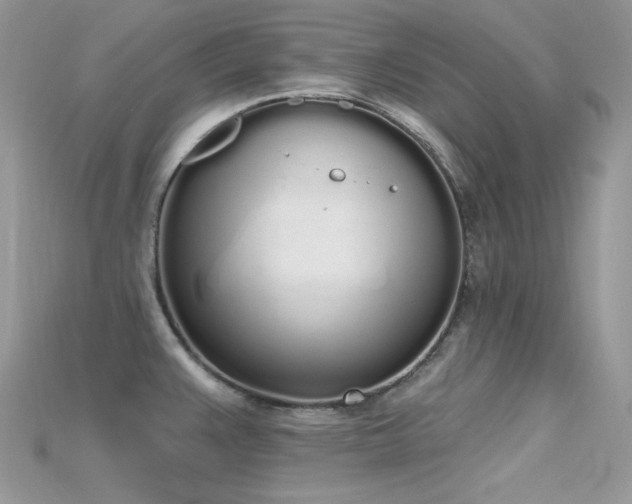 X0000115711383200911121416