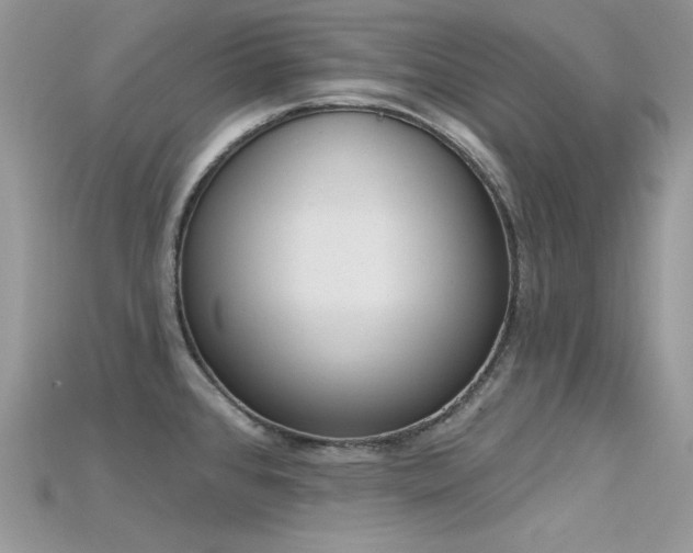 X0000115711384200911121416