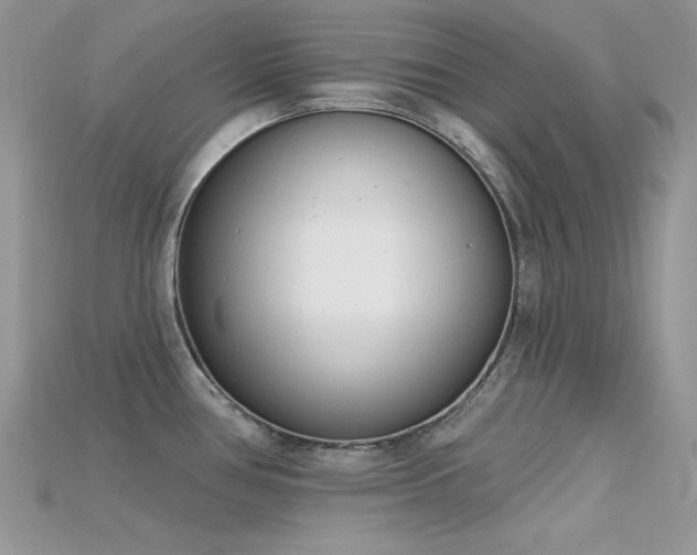 X0000115711386200911121416