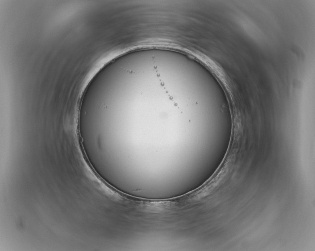 X0000115711390200911121416