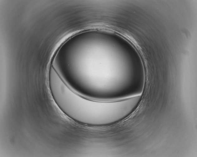 X0000115711392200911121416