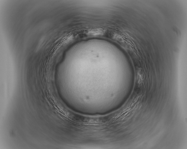 X0000115711393200911121415