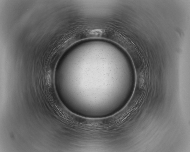 X0000115711394200911121415