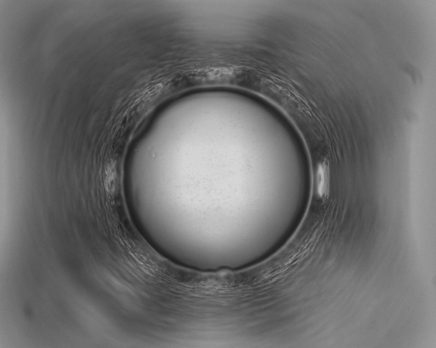 X0000115711395200911121415