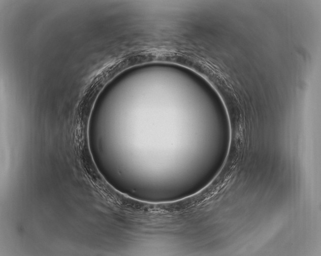 X0000115711398200911121415