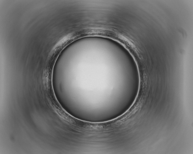 X0000115711403200911121415