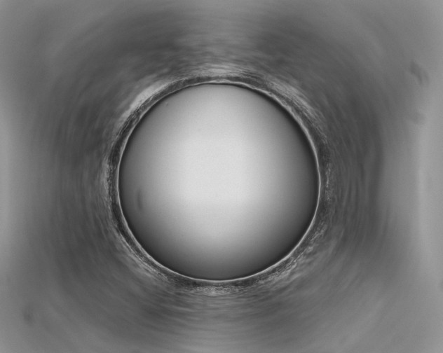 X0000115711404200911121415