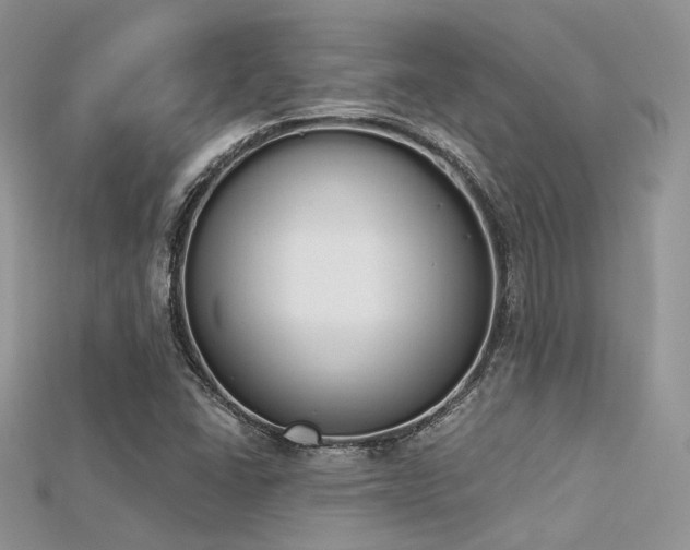 X0000115711406200911121415