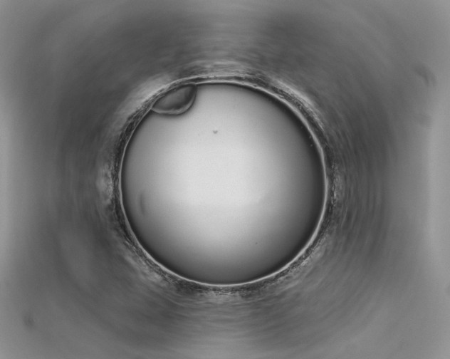 X0000115711407200911121416