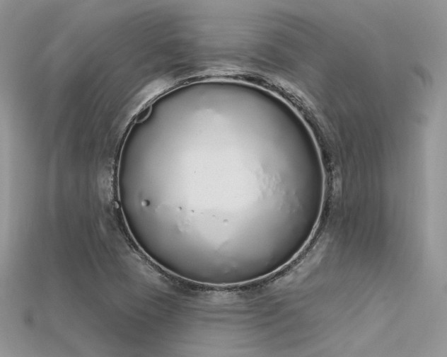 X0000115711409200911121416