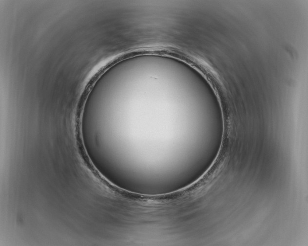 X0000115711412200911121416