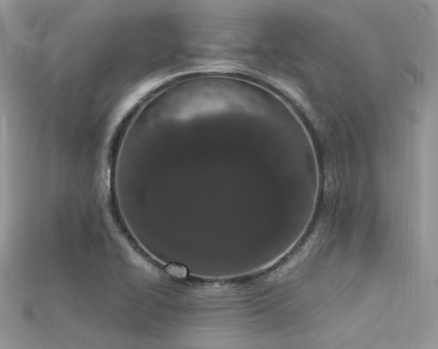 X0000115711414200911121416