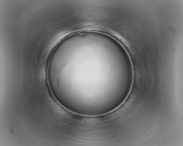 X0000115711415200911121416