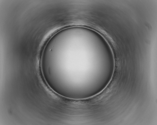 X0000115711416200911121416