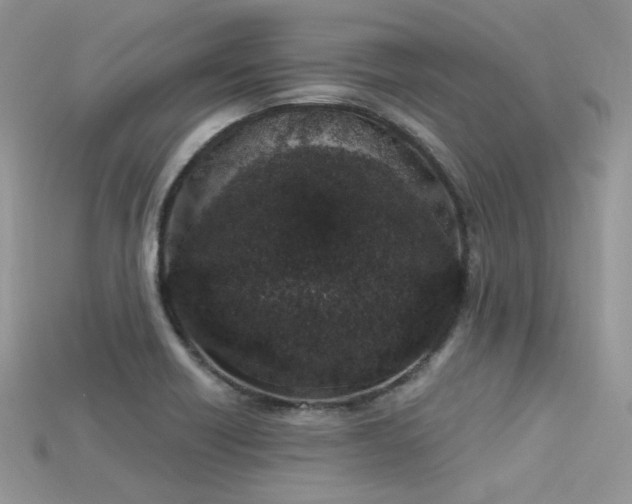 X0000115711418200911121416