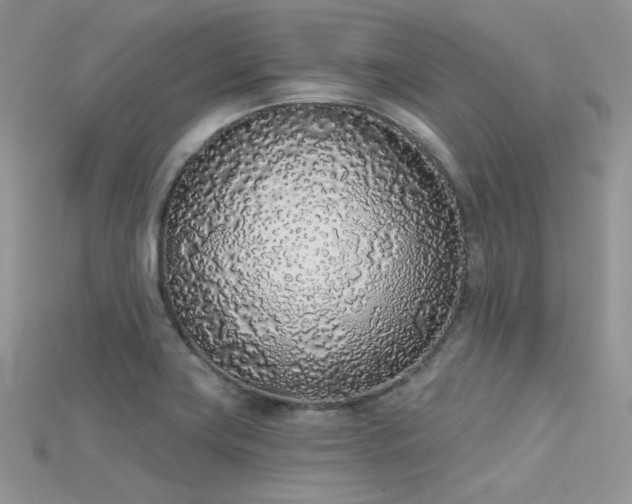 X0000115711419200911121416