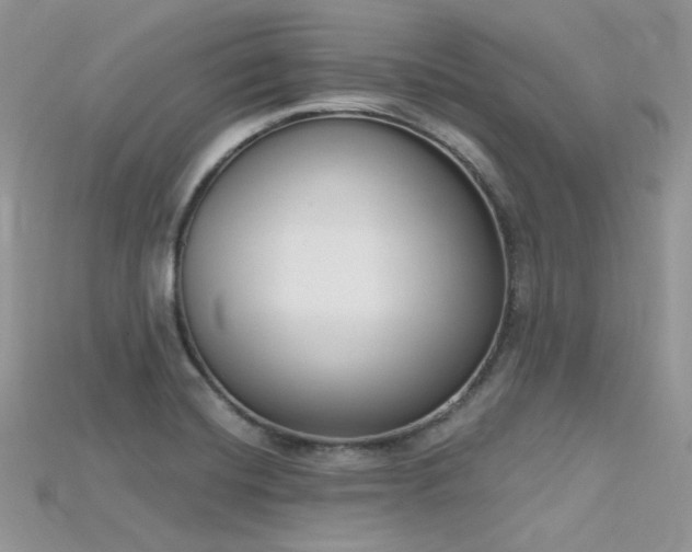 X0000115711420200911121416