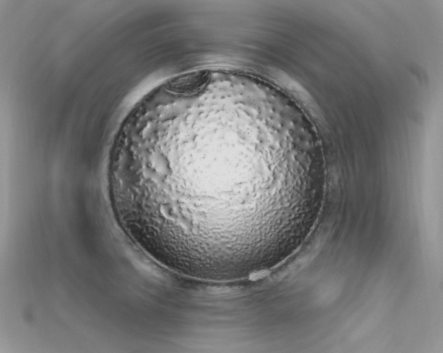 X0000115711427200911121416