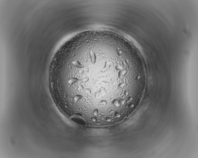 X0000115711429200911121416