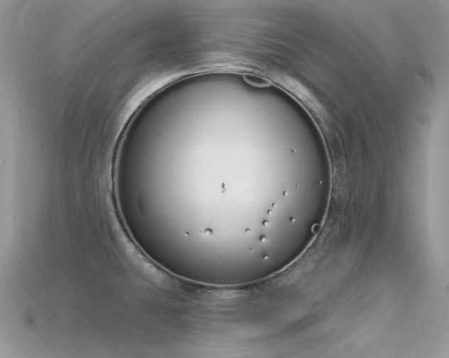 X0000115711431200911121416