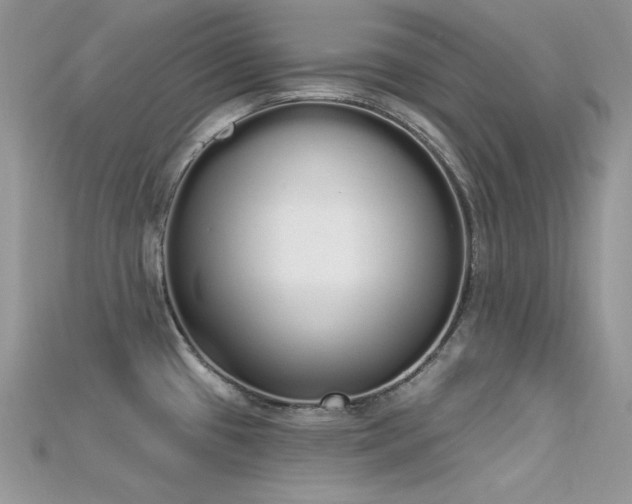 X0000115711433200911121416