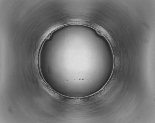 X0000115711435200911121416