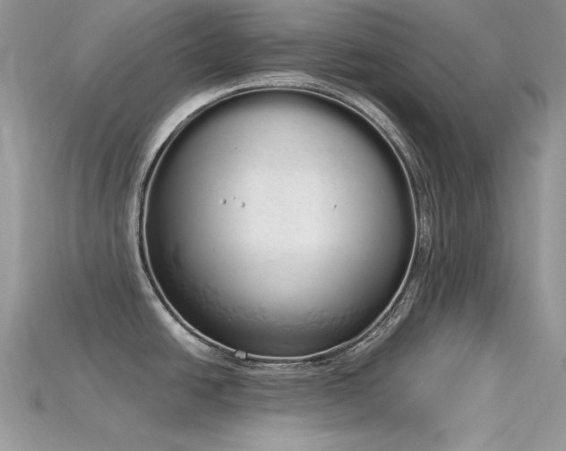 X0000115711438200911121416