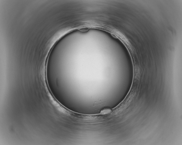 X0000115711439200911121416