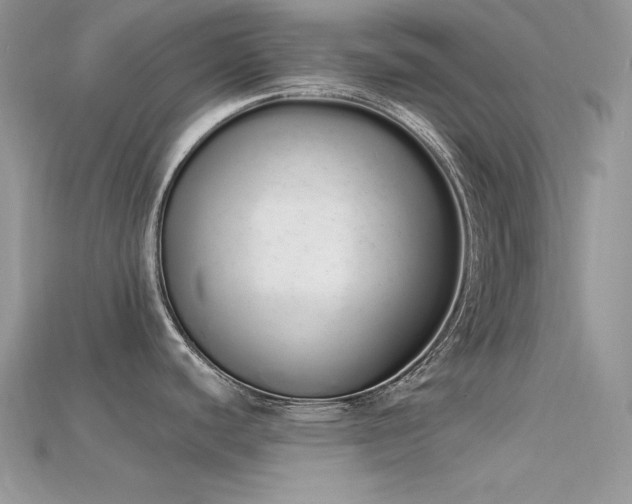 X0000115711440200911121416