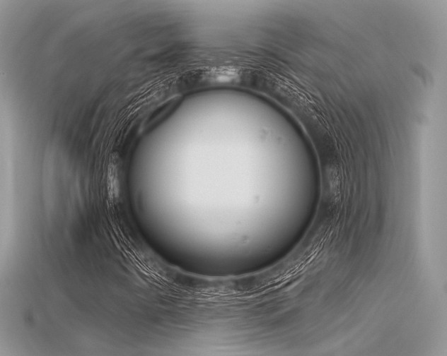 X0000115711442200911121415