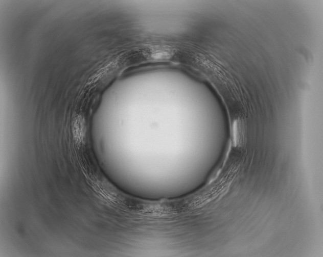 X0000115711443200911121415