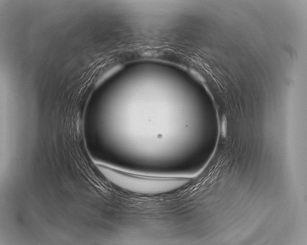 X0000115711444200911121415