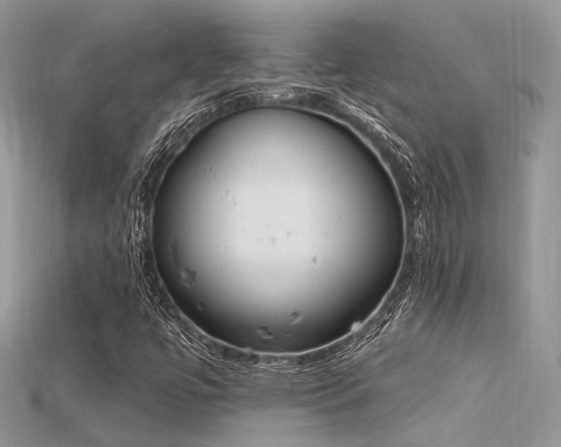 X0000115711447200911121415