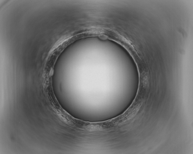 X0000115711448200911121415