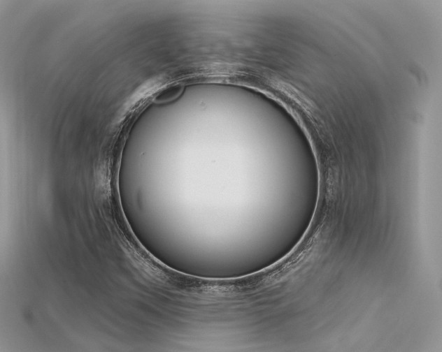 X0000115711451200911121415