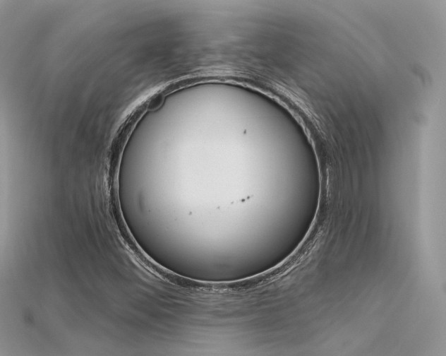 X0000115711452200911121415