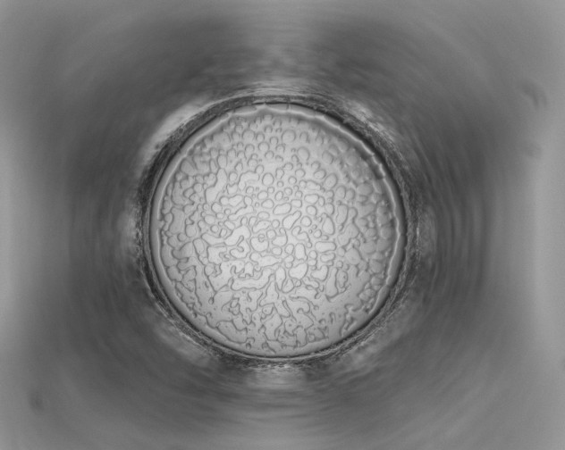 X0000115711454200911121415