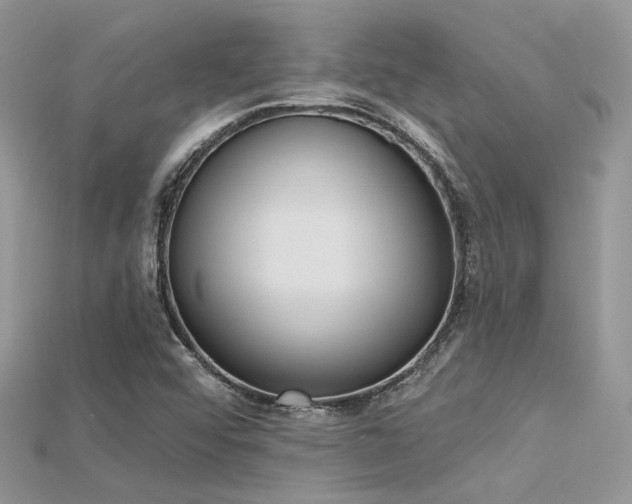 X0000115711456200911121415