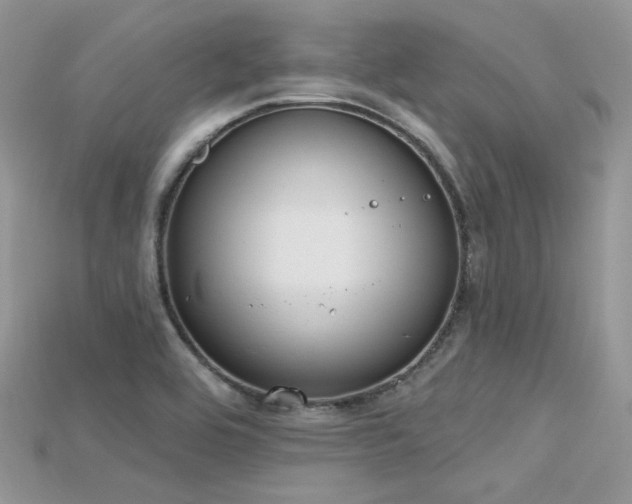 X0000115711464200911121415